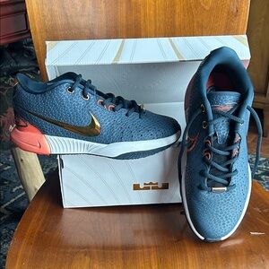 NWT LeBron Navy and Gold Sneakers NIKE